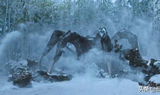 守护祭坛怎么打 守护祭坛怎么打