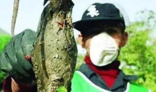 日本核泄漏事件 日本核泄漏事件